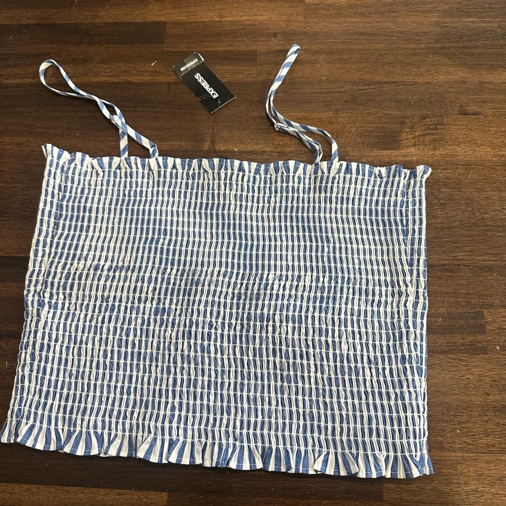 Express Blue and White Checkered Top